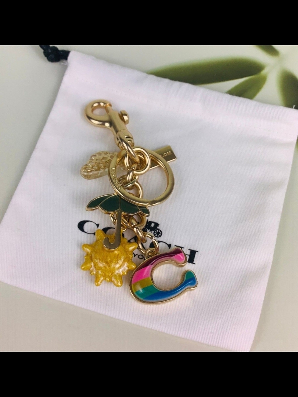 Coach Gold-Tone Rainbow 'C' Charm Keyring with Yellow Sun and Green Leaf